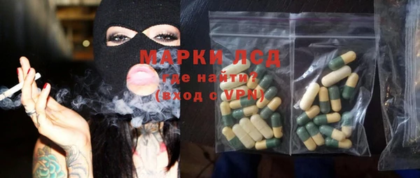 прущие грибы Алзамай