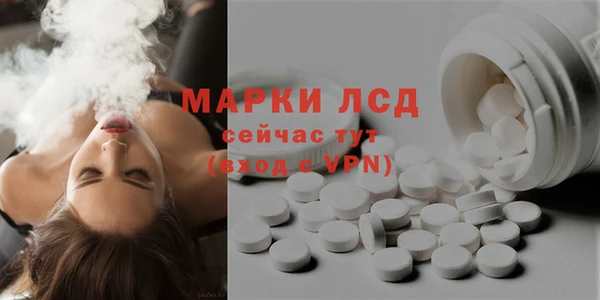 прущие грибы Алзамай