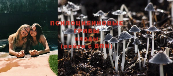 скорость Алексин