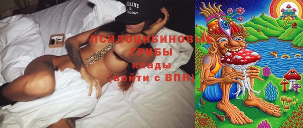 прущие грибы Алзамай