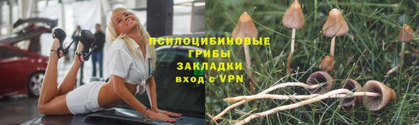 скорость Алексин
