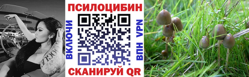 наркошоп  Арсеньев  Галлюциногенные грибы ЛСД 