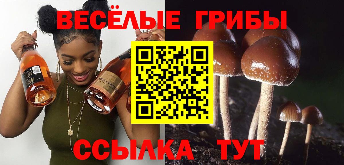 Псилоцибиновые грибы прущие грибы  Вход с VPN  Псилоцибиновые грибы ЛСД  Арсеньев 