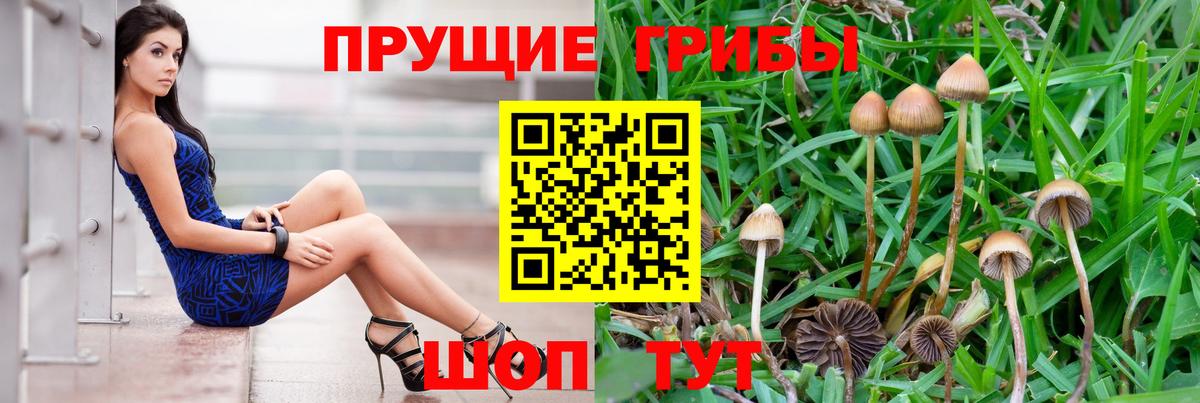 Псилоцибиновые грибы прущие грибы Арсеньев